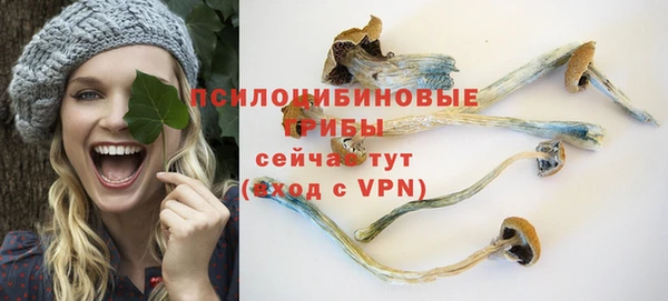амф Белокуриха