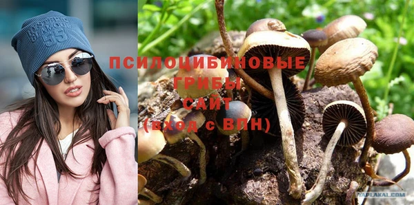 амф Белокуриха